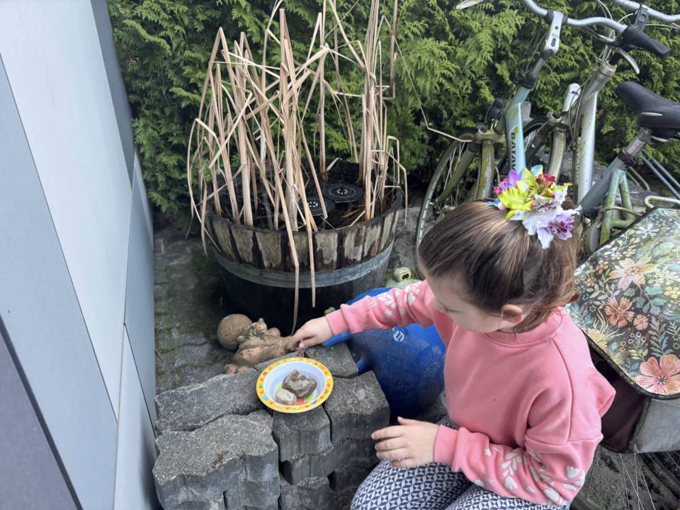 Foto van Vrienden worden met bijen en andere insecten door een bakje drinkwater voor ze klaar te zetten. Goed bezig Floor!