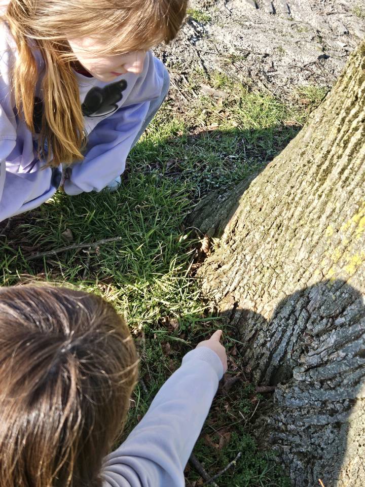 Foto van Lieke en Silke uit Eelderwolde speuren naar dieren die in bomen wonen.